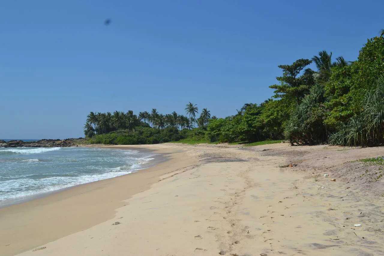 Пляжи шри ланка отзывы. Диквелла Шри Ланка. Dickwella Beach Шри Ланка. Пляж Диквелла Шри. Хирикетия пляж Шри Ланка.