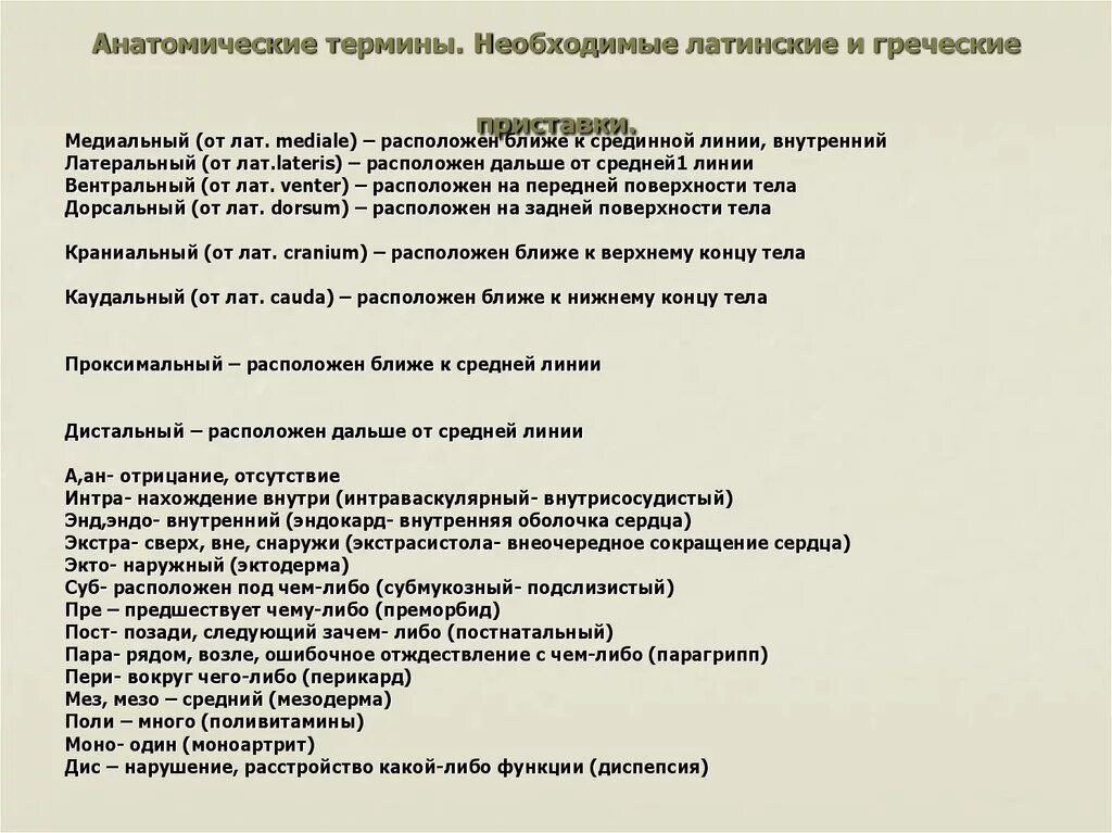 Анатомические термины. Термины на латыни анатомия. Основные латинские термины. Основные анатомические термины на латыни.