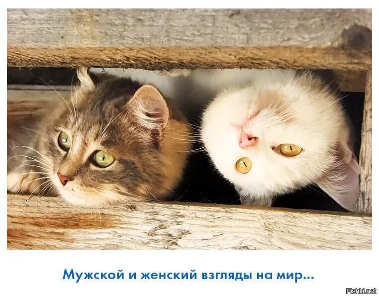 Красота в глазах. Два взгляда на жизнь. Мировоззрение. Глаза индиго. Глаза на фоне природы.