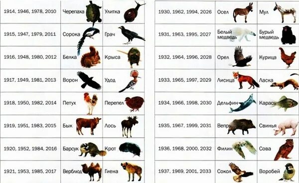 Тотемное животное по году рождения зороастрийский. Тотемное животное 2002 года. 1997 Тотемное животное. Тотемное животное 1993 года.