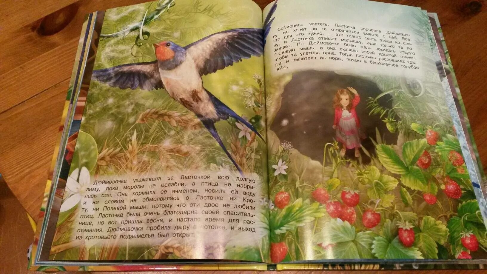 Прочитайте строки из сказки андерсена. Дюймовочка книга. произведения андерсена. дюймовочка ханс кристиан андерсен книга.