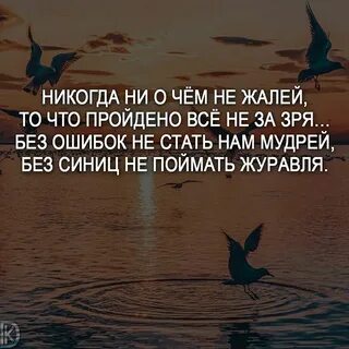 Никогда не жалею людей