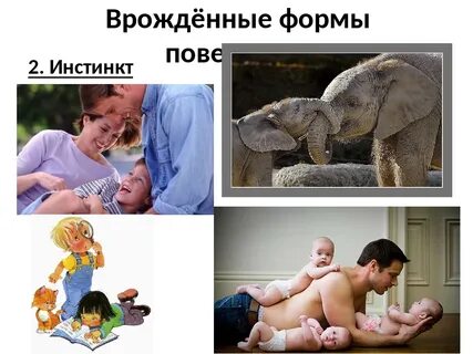 Форма инстинкта