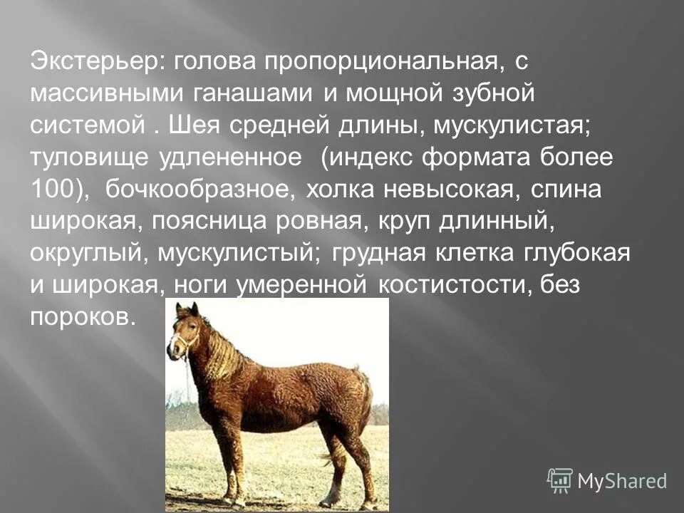 Оценка коров по экстерьеру. Стати овцы. Экстерьер животного это. Оценка коров по экстерьеру. Оценка по экстерьеру в селекции.