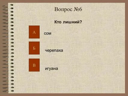 На какой вопрос отвечает слово 5