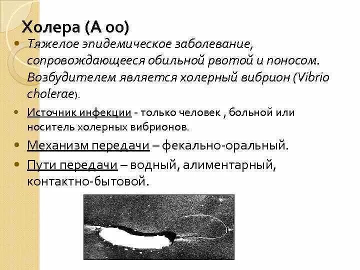 Источником инфекции при холере является. Холерный вибрион источник инфекции. Холерный вибрион является. Холера возбудителем холеры является холерный вибрион.