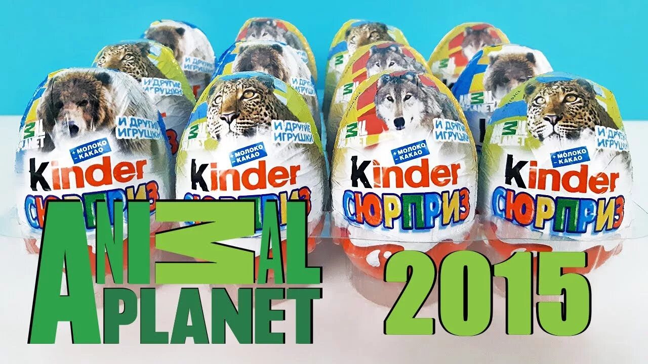 Kinder planet. Киндер сюрприз Анимал планет. Киндер сюрприз animal Planet 2015. Киндер сюрприз животные коллекция Анимал планет. Киндер сюрприз Энимал планет коллекция.