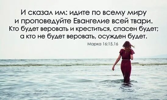 Идите по всему миру и проповедуйте евангелие всей твари. Библейские стихи про благовествование. Спасти веру. Идите по всему миру и проповедуйте евангелие всей твари мк 16 15. Идите по всему миру и проповедуйте.
