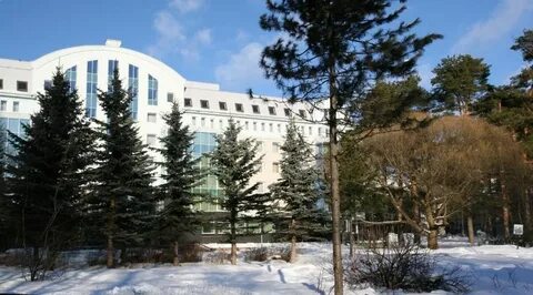 Спа отель зеленогорск
