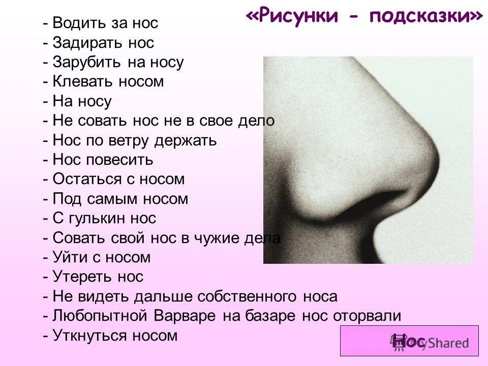Задирать нос значение фразеологизма. Не видеть дальше своего носа значение фразеологизма. Дальше своего носа не видим. Дальше своего носа не видим. Интересные факты с юмором.