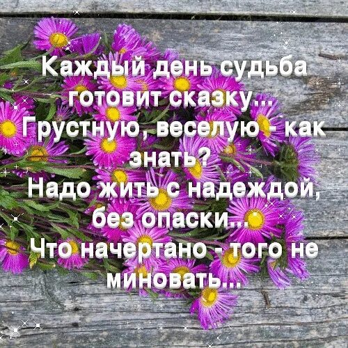 Жить с надеждой. Живи с надеждой. Каждый день судьба готовит сказку. Надо жить с надеждой. Пока надеждою живу