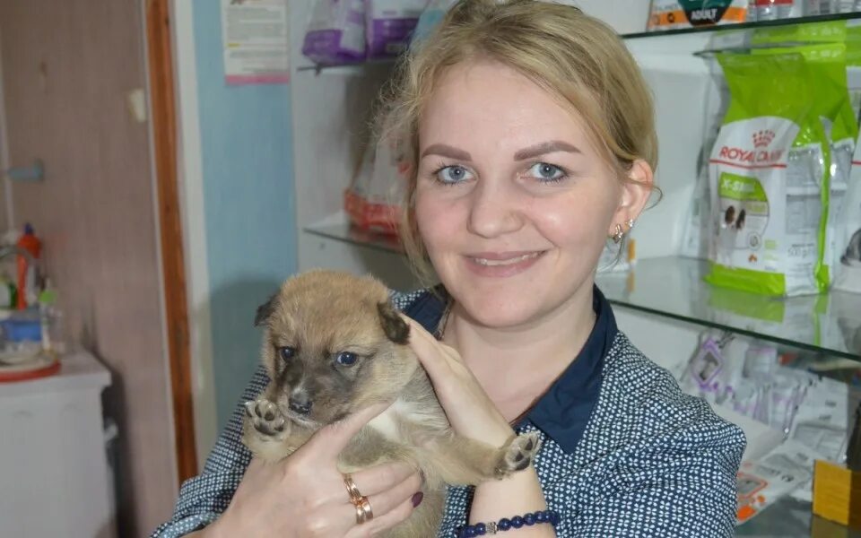 Кабан окский заповедник. Типичный касимов потерявшие животные. Касимов животные. Касимов животные. Ландрас дюрок.