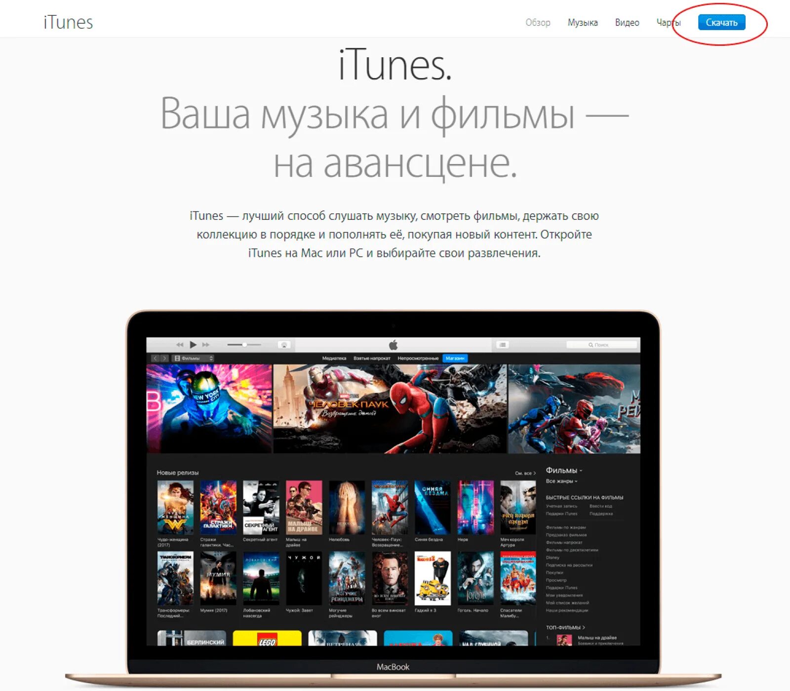 Itunes для windows 8.1 64 bit. Itunes. itunes приложение. программа айтюнс. приложения айтюнс на пк.