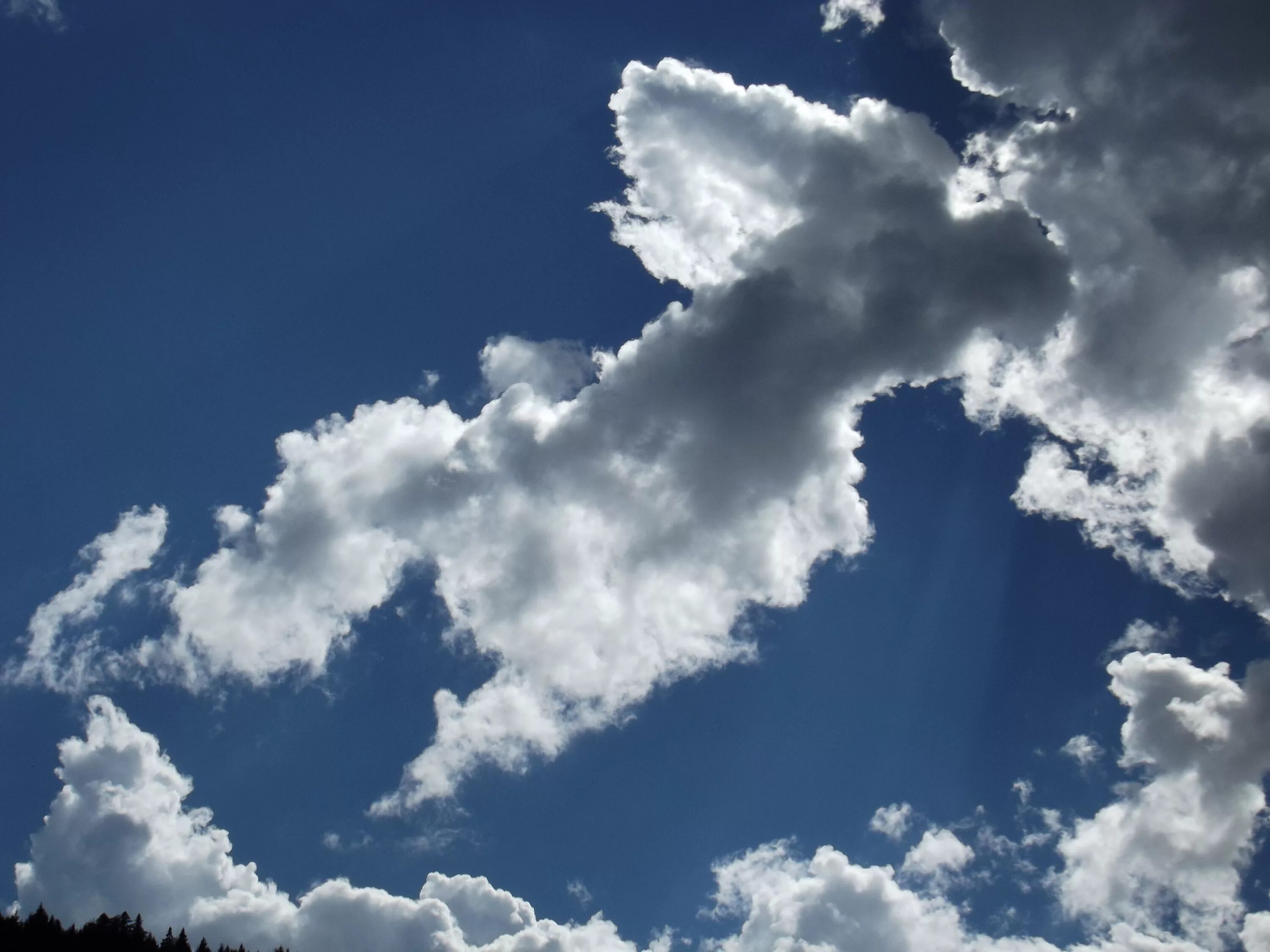 Cloud form