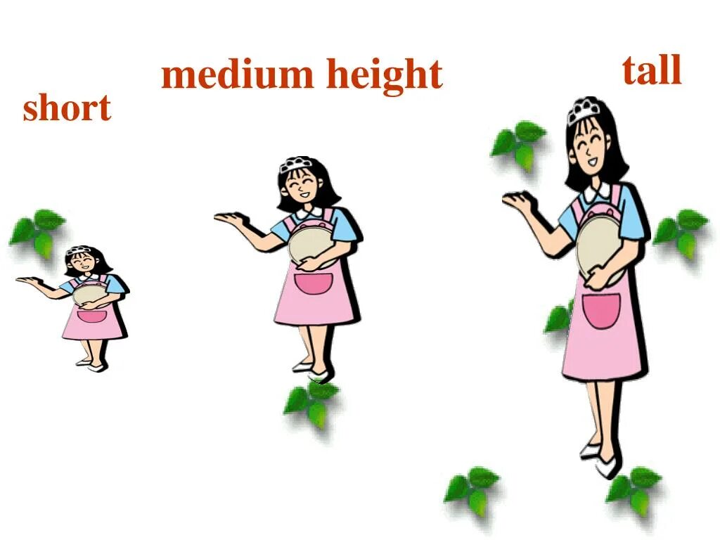 Tall short Medium height. Medium height. Height short of Medium height. Height транскрипция.