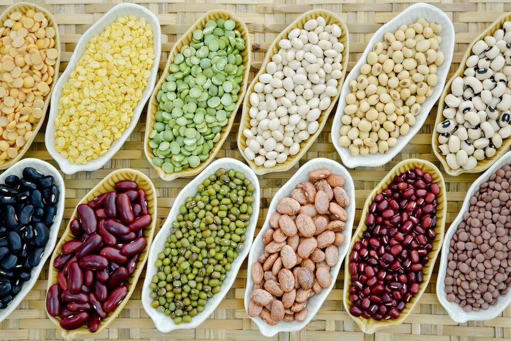 бобовые картинки. зернобобовые культуры. бобовые. бобовые. зерново бобовые культуры.