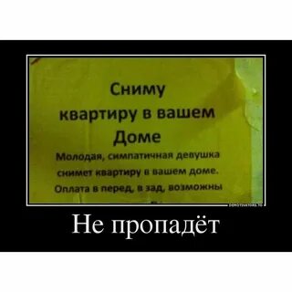 Пропади но