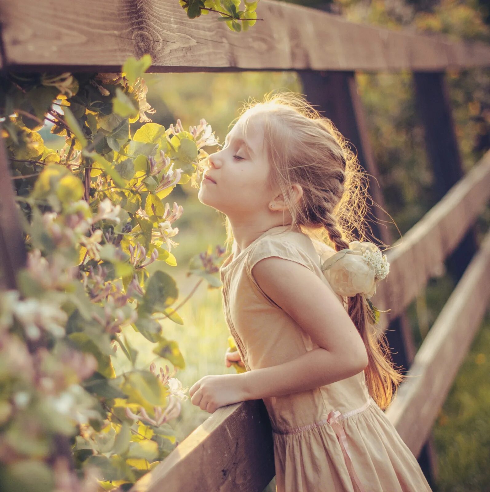 фотосессия котят. детские аватарки для девочек. задумчивая девушка. если б милые девицы. красивые скромные девушки.