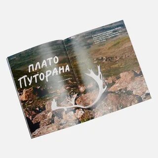Сила территории отзывы