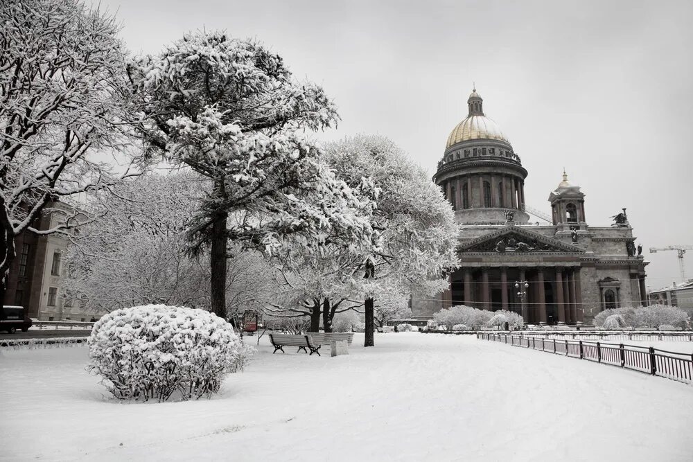 Снег над. Заснеженный Петербург. Зима в Петербурге. Снег в Петербурге. Санкт-Петербург зима снег.