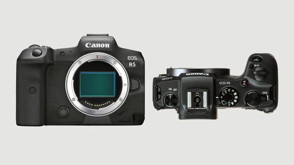 Eos r5 ii. Canon eos r6 mark ii. canon eos r5 mark ii. eos r5 mark ii. canon r6 mark ii.