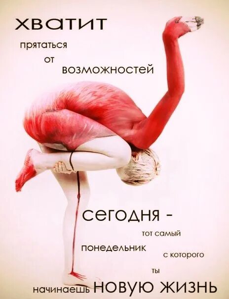 Начни новую жизнь сейчас. Начну с понедельника. новая жизнь с понедельника. начну с понедельника новую жизнь. сегодня тот самый понедельник.
