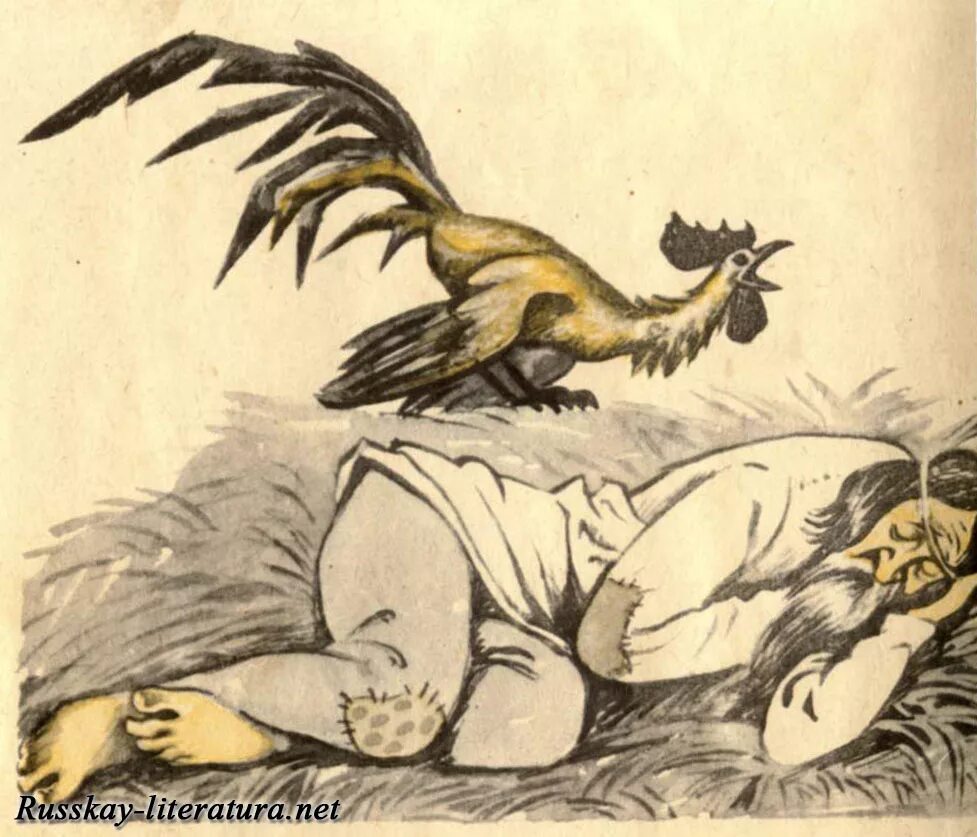 петух и хозяин сказка. описание петуха. степанов петух и хозяин. петух и хозяин. иллюстрация к сказке петушок и бобовое зернышко.