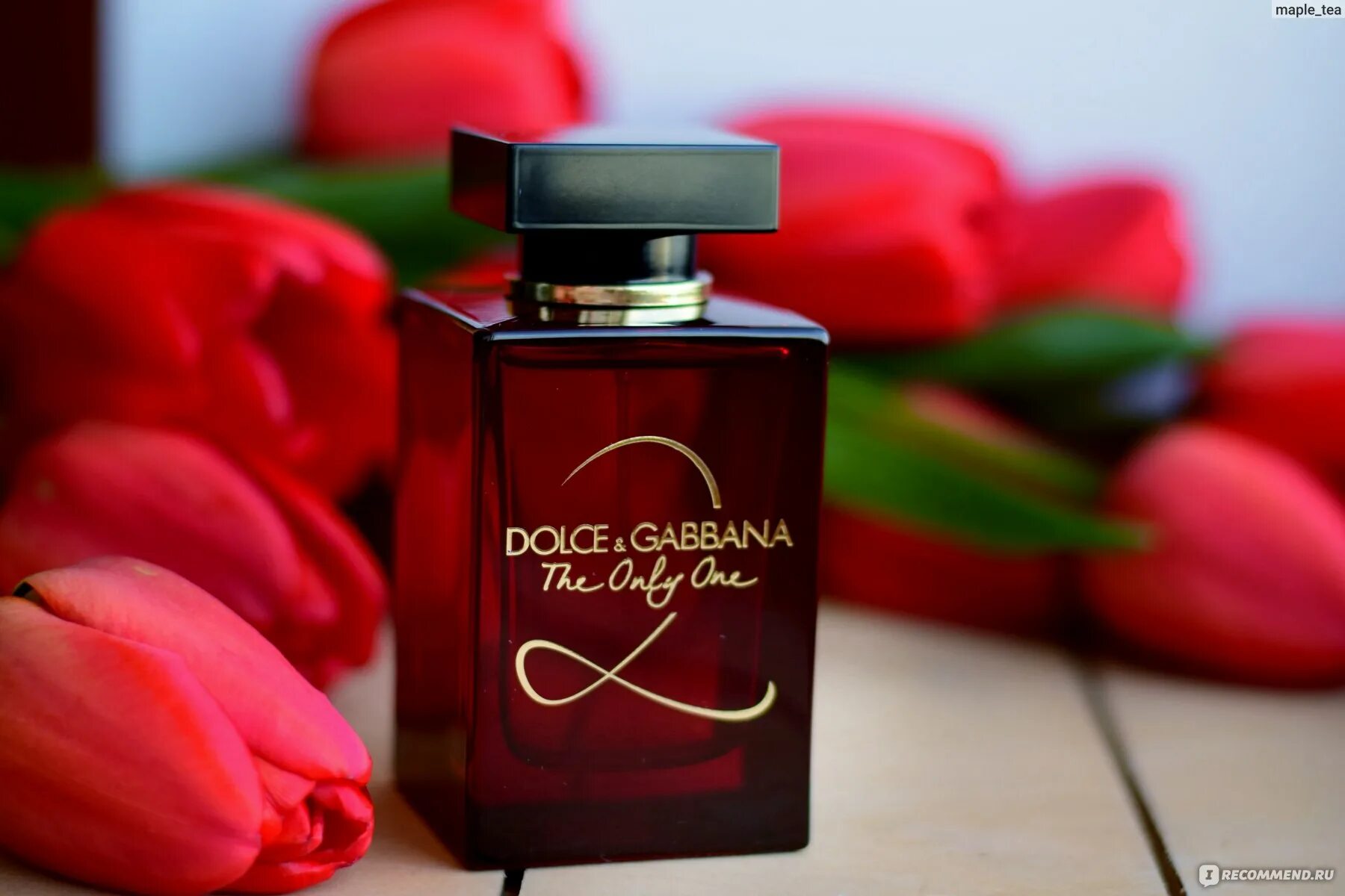 Dolce Gabbana the only one 2. Духи Дольче Габбана Онли Ван. Dolce Gabbana the only one аромат. Dolce Gabbana the only one intense женские. The only one intense dolce