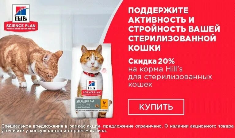 Чем кормить кастрированного кота в домашних условиях. Сухие корма для кастрированных котов. Корм сухой для кошек совет ветеринара. Лучшие корма для стерилизованных кошек советы ветеринаров. Корм для стерилизованных отличие от обычного.