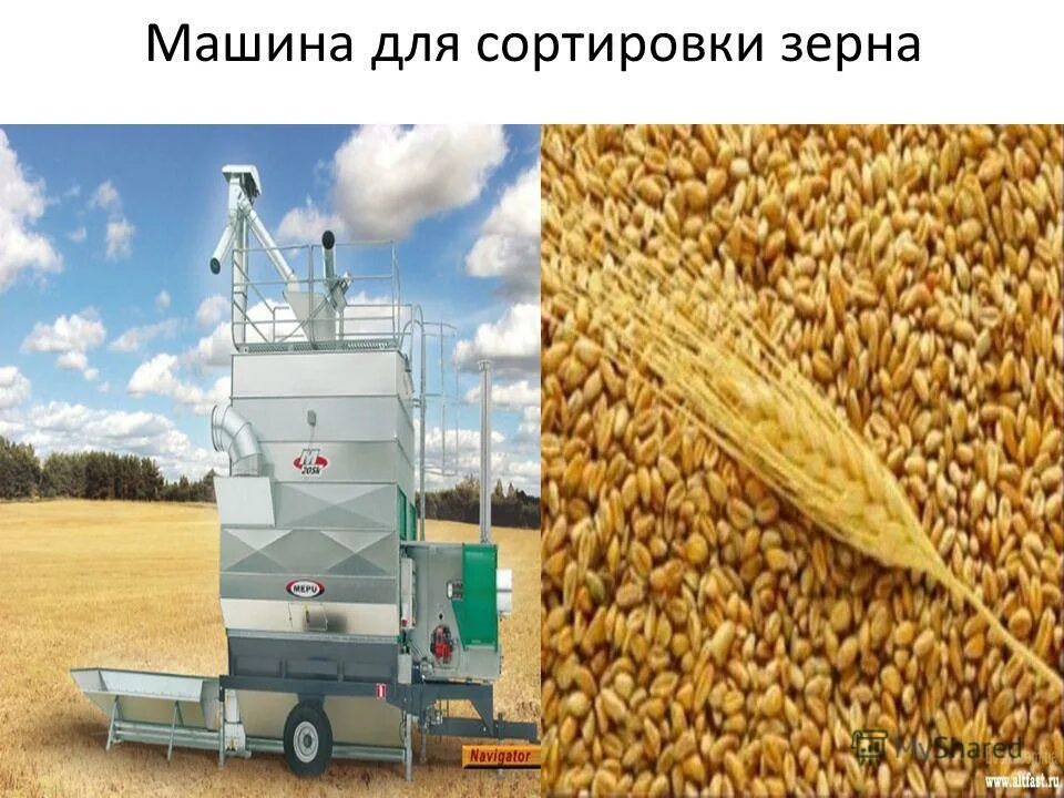 Сортировочная машина v6. Машина для сортировки зерна. Очиститель семян сои. Сортировка зерна альфа mgc 100. Зерноочистительная машина альфа 100 ромакс.