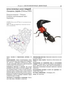 Добыча животных занесенных в красную книгу