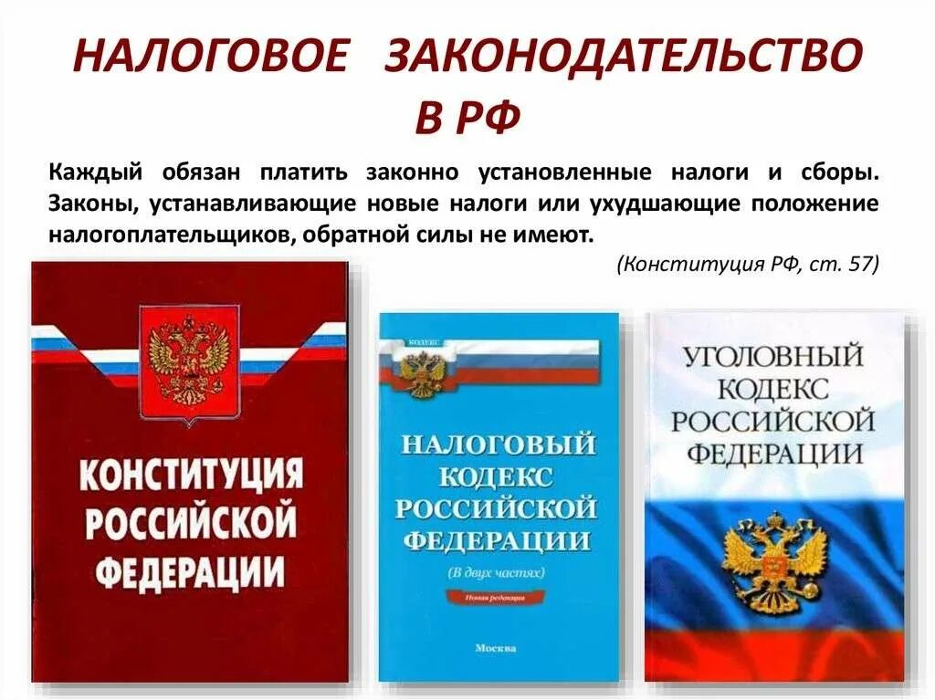 Налоговые законы. Закон о налогах. Налоговое законодательство РФ. Обязанность платить законно установленные налоги и сборы.