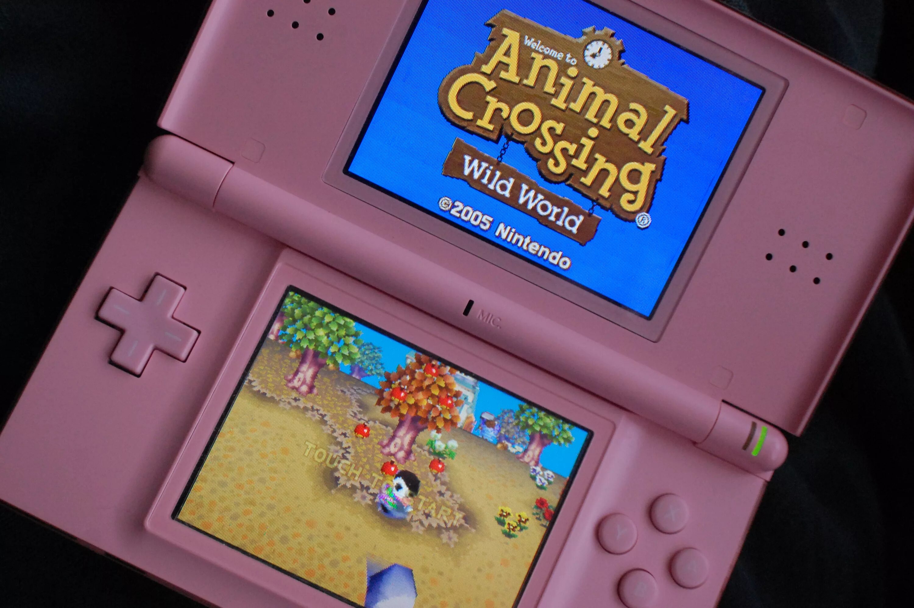 Nintendo войти. Нинтендо геймбой ДС. Нинтендо 3дс Энимал Кроссинг. Animal Crossing Nintendo DS. DS Lite Nintendo World.