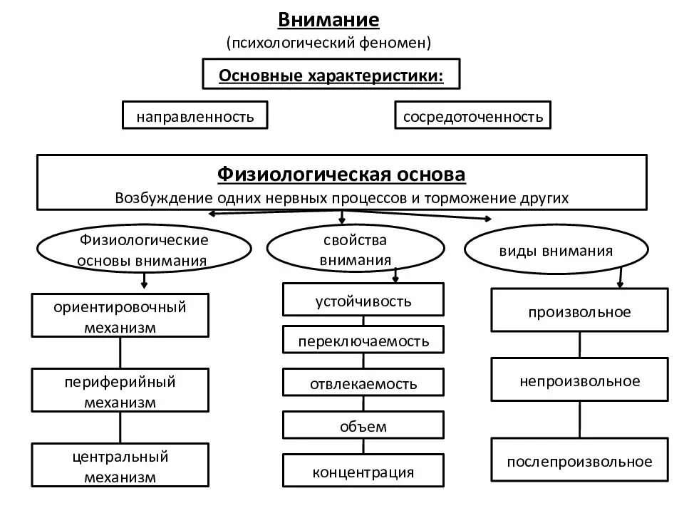 Физиологические основы внимания. Функции внимания.. Физиологические механизмы внимания в психологии. Физиологические механизмы внимания в психологии кратко. Дайте характеристику внимания как психического явления. Психологические функции внимания