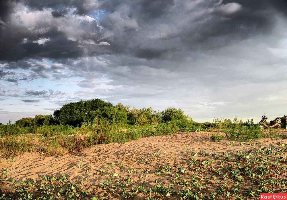 осенний дождь фото. расфокус видео.