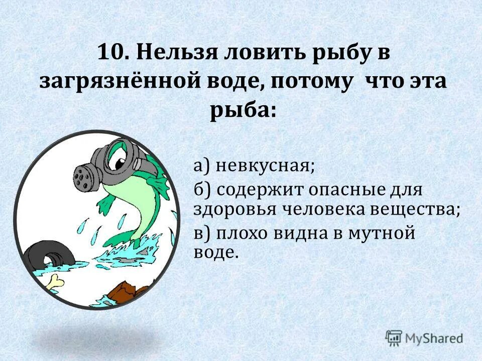 Почему нельзя ловить рыбу