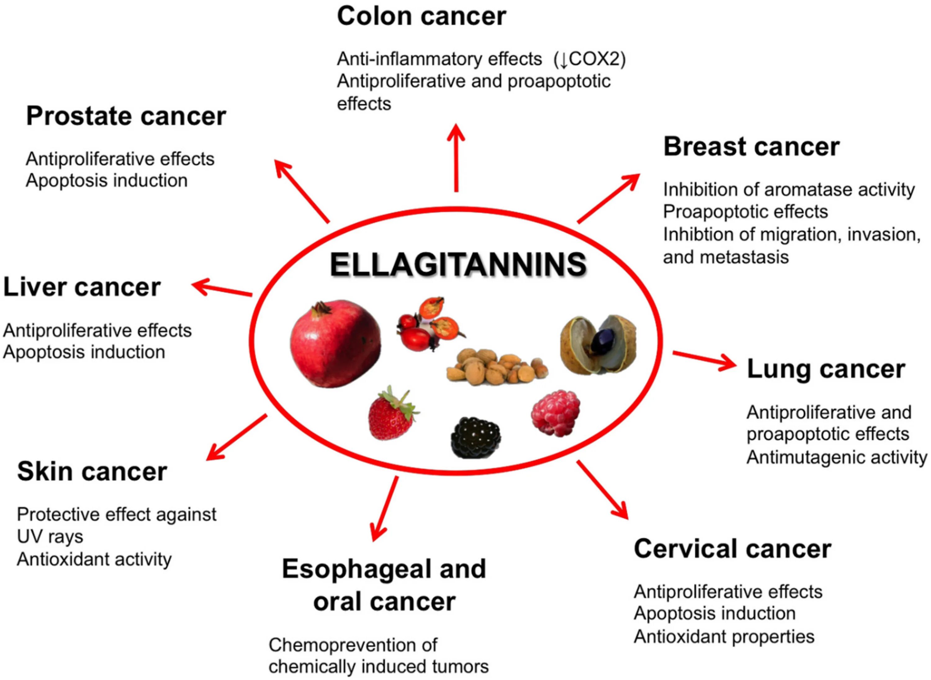 Antioxidant properties