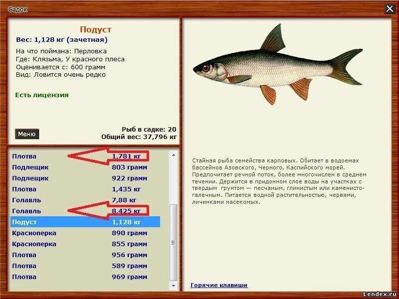 Подуст и рыбец. Подуст плотва. Голавль и рыбец. Русская рыбалка 3 Клязьма Подуст. Клязьма какая рыба