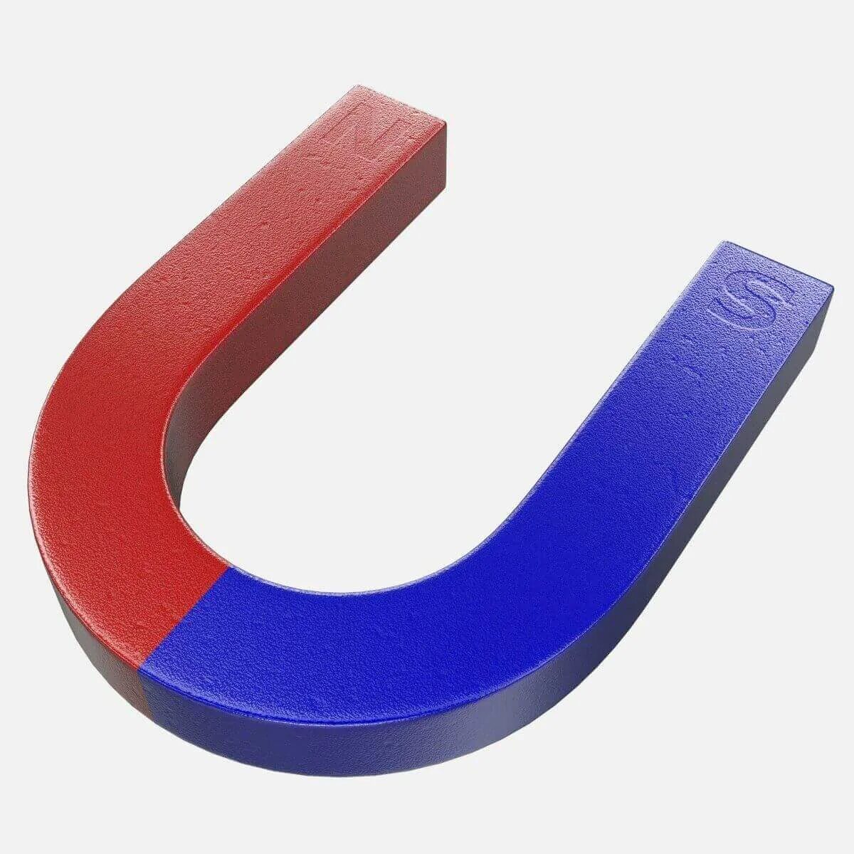 Magnet net