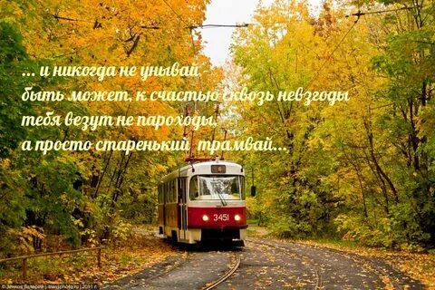 Транспорт осень
