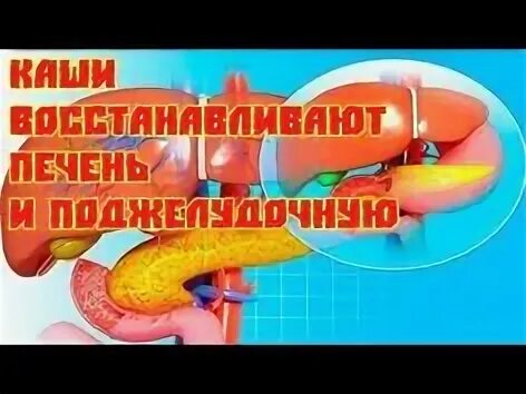 Как быстро восстановить поджелудочную. Восстановка поджелудочной. полезные каши для печени и поджелудочной. продукты для восстановления поджелудочной железы. чем лечить поджелудочную железу лекарства.