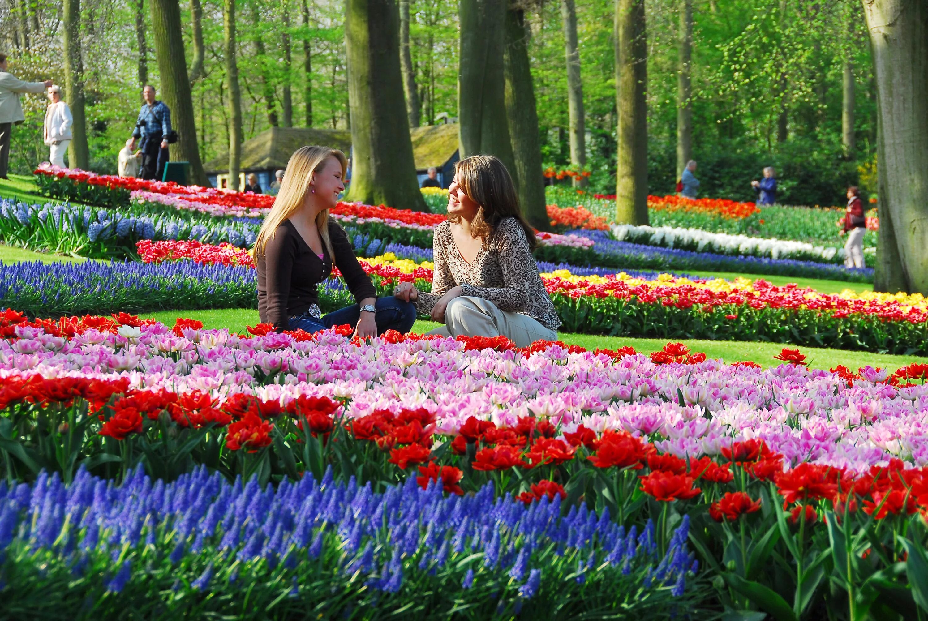 Фото с тюльпанами на улице. Keukenhof Gardens Нидерланды. Койкенхоф парк тюльпанов. Парк «Кекенхоф» (Keukenhof) летом. Парк цветов в Голландии Кекенхоф.