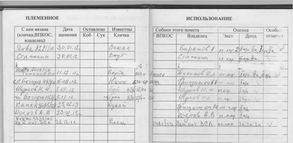 Племенной почему нн