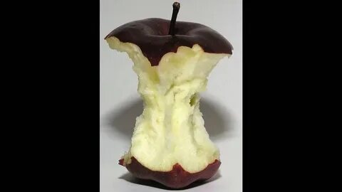 Ogryzek slowed