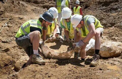 Dig формы
