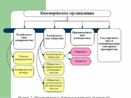 Политика в сфере финансов организаций
