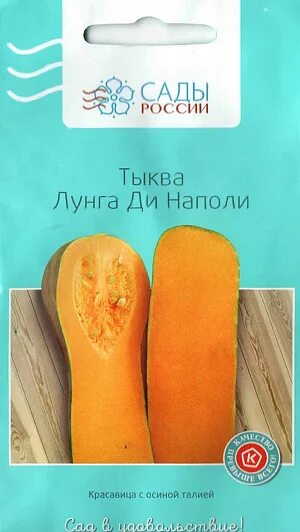 Тыква лунга ди наполи описание сорта. Семена тыквы лунга ди наполи. тыква лунга динаполи семена. тыква наполи лунга.