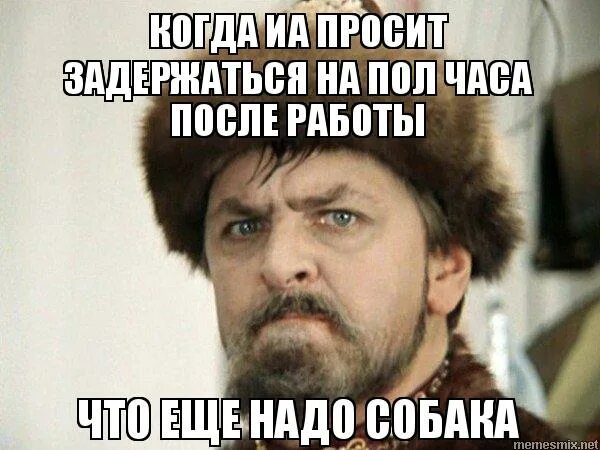 Не иначе как придется задержаться на работе. Не засиживайся на работе. Не иначе как придется задержаться на работе. Смешное смс мужу на работу. Чего тебе еще надо собака картинка.