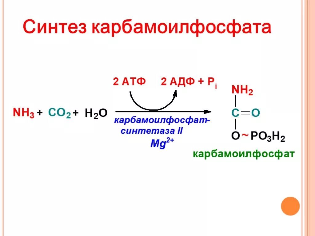 Синтез адрес. Синтез карбамоилфосфата. Реакция синтеза карбамоилфосфата. Реакция образования карбамоилфосфата. Глютамин в карбамоилфосфат.