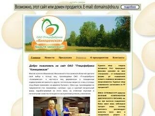 Каталог сайтов кинешмы